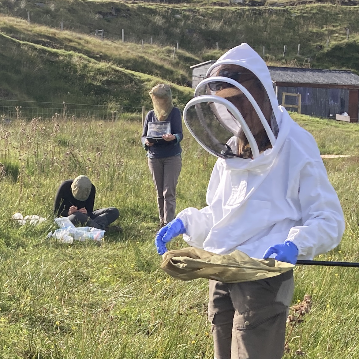 Beekeeping Update: August 2026
